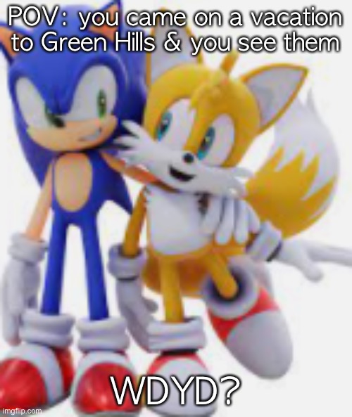 Sonic and Tails | POV: you came on a vacation to Green Hills & you see them; WDYD? | image tagged in sonic and tails | made w/ Imgflip meme maker