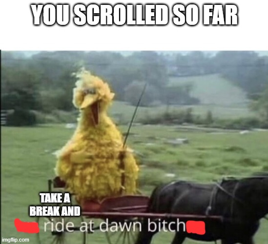 We ride at dawn bitches | YOU SCROLLED SO FAR; TAKE A BREAK AND | image tagged in we ride at dawn bitches | made w/ Imgflip meme maker
