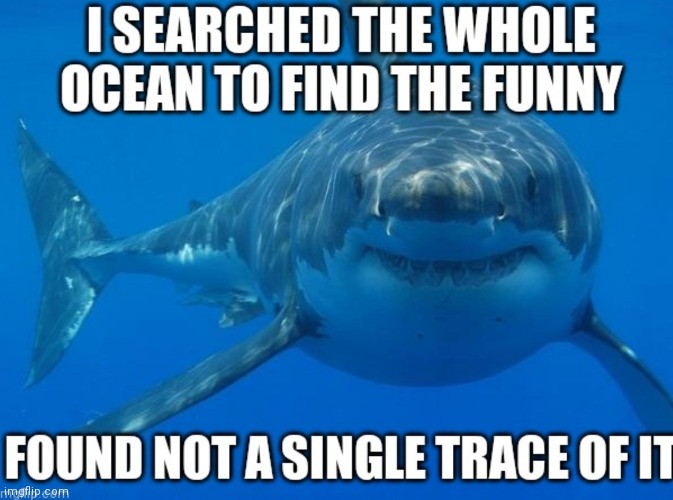 Bruce found no funny | image tagged in bruce found no funny | made w/ Imgflip meme maker