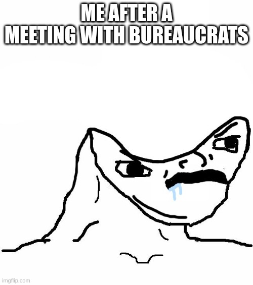 Me after a meeting with bureaucrats |  ME AFTER A MEETING WITH BUREAUCRATS | image tagged in angry brainlet | made w/ Imgflip meme maker