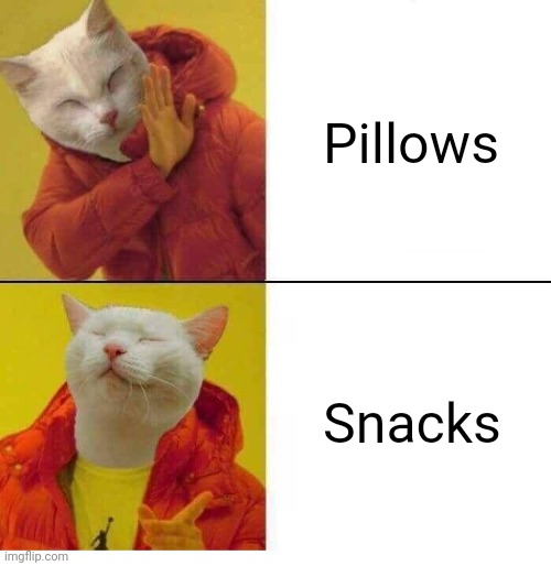 cat drake | Pillows Snacks | image tagged in cat drake | made w/ Imgflip meme maker