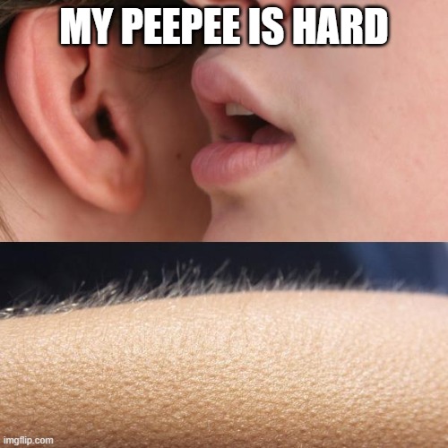 Whisper and Goosebumps | MY PEEPEE IS HARD | image tagged in whisper and goosebumps | made w/ Imgflip meme maker