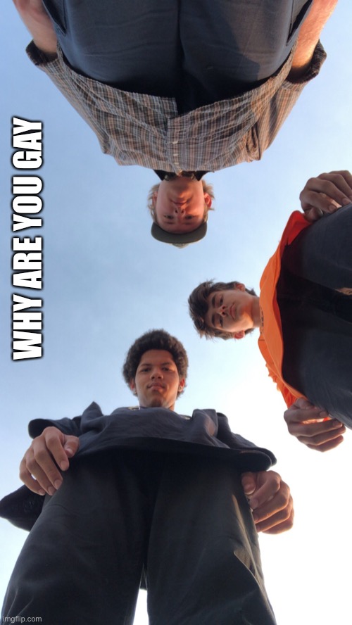 Looking down on you 3 | WHY ARE YOU GAY | image tagged in looking down on you 3 | made w/ Imgflip meme maker