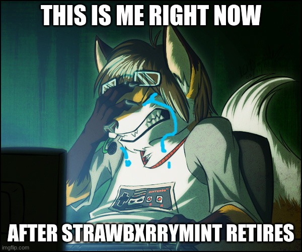 I'm Sad now TwT (I drew the tears) | THIS IS ME RIGHT NOW; AFTER STRAWBXRRYMINT RETIRES | image tagged in furry facepalm,sad,crying | made w/ Imgflip meme maker