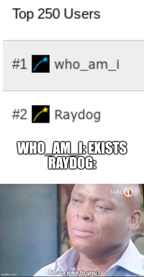 WHO_AM_I: EXISTS
RAYDOG: | image tagged in am i a joke to you | made w/ Imgflip meme maker