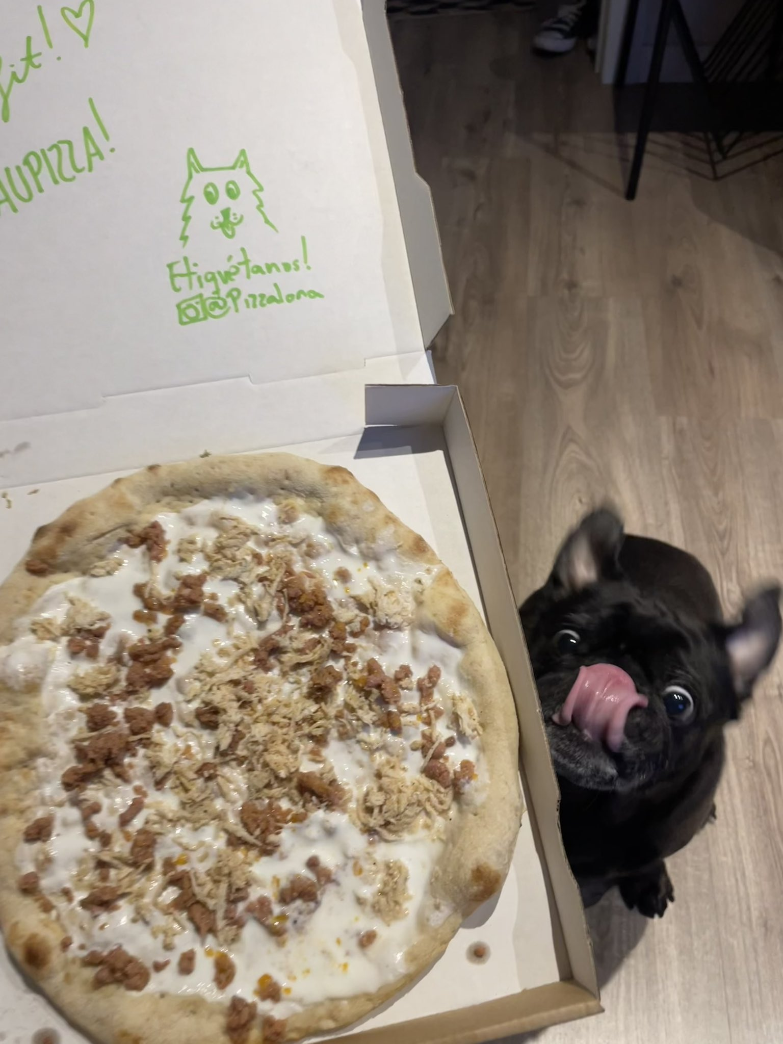 Pug with Pizza 1 Blank Meme Template