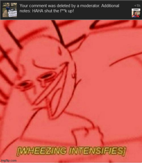 LMAO | image tagged in wheeze,comment deletion,memes,wheezing intensifies,xd,lmao | made w/ Imgflip meme maker