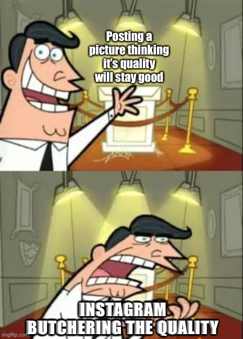 IG bashing | Posting a picture thinking it’s quality will stay good; INSTAGRAM BUTCHERING THE QUALITY | image tagged in memes,fairly odd parents,mr turner,timmys turner dad,instagram | made w/ Imgflip meme maker