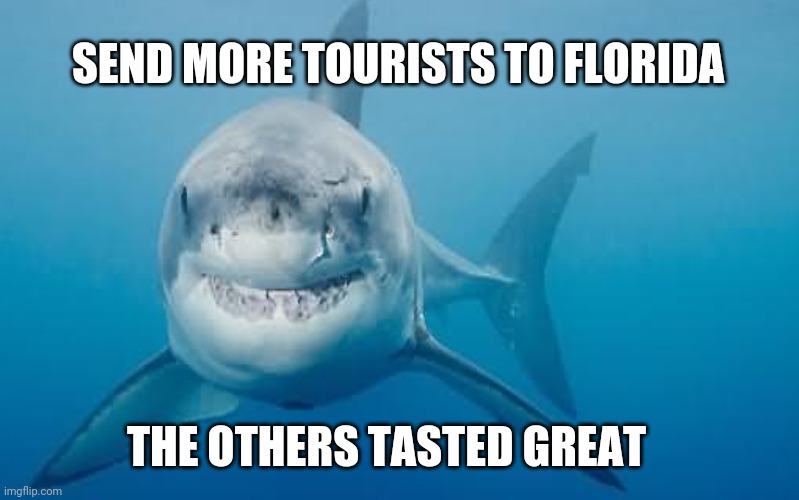 Florida Shark Says... | SEND MORE TOURISTS TO FLORIDA; THE OTHERS TASTED GREAT | image tagged in shark memes,florida memes,tourists memes,shark week,send more tourists,funny | made w/ Imgflip meme maker