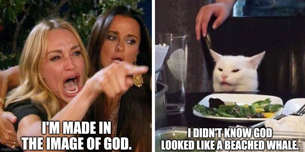 Smudge the cat | I'M MADE IN THE IMAGE OF GOD. I DIDN'T KNOW GOD LOOKED LIKE A BEACHED WHALE. | image tagged in smudge the cat | made w/ Imgflip meme maker