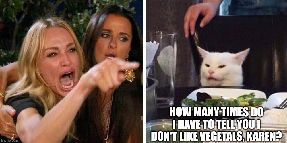 Smudge the cat | HOW MANY TIMES DO I HAVE TO TELL YOU I DON'T LIKE VEGETALS, KAREN? | image tagged in smudge the cat | made w/ Imgflip meme maker