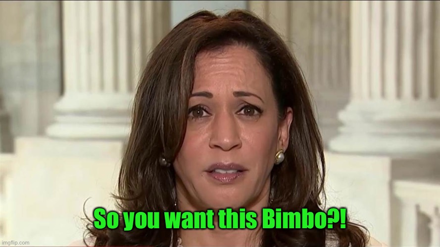 kamala harris | So you want this Bimbo?! | image tagged in kamala harris | made w/ Imgflip meme maker