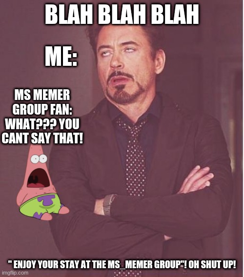 MS_memer group you are so stupid | BLAH BLAH BLAH; ME:; MS MEMER GROUP FAN: WHAT??? YOU CANT SAY THAT! " ENJOY YOUR STAY AT THE MS_MEMER GROUP"! OH SHUT UP! | image tagged in memes,face you make robert downey jr | made w/ Imgflip meme maker