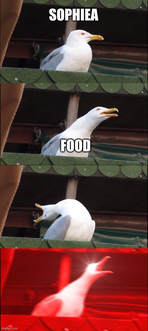Inhaling Seagull Meme | SOPHIEA; FOOD | image tagged in memes,inhaling seagull | made w/ Imgflip meme maker