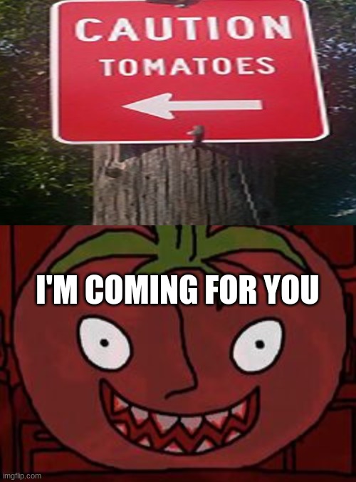 Mr Tomato | I'M COMING FOR YOU | image tagged in mr tomato | made w/ Imgflip meme maker