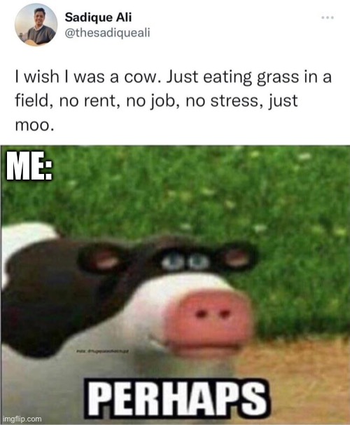 Would you rather be a cow? | ME: | image tagged in perhaps cow,cow,moo,grass,tweet,twitter | made w/ Imgflip meme maker