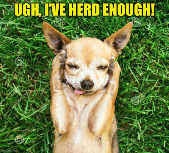 UGH, I’VE HERD ENOUGH! | made w/ Imgflip meme maker