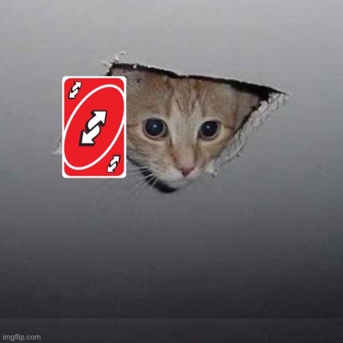 Ceiling Cat Meme | image tagged in memes,ceiling cat | made w/ Imgflip meme maker