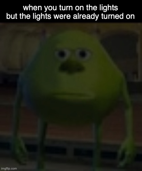 when you turn on the lights but the lights were already turned on | image tagged in sully wazowski | made w/ Imgflip meme maker