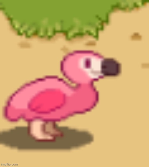 clouddays flamingo | image tagged in clouddays flamingo | made w/ Imgflip meme maker