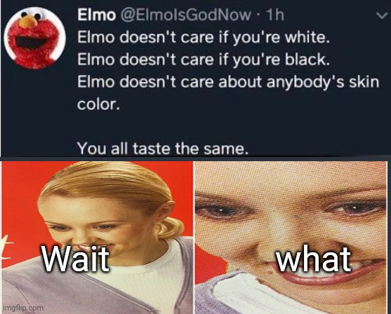 I'm sorry, what? | Wait                   what | image tagged in funny,memes,wait what,elmo,dark humor,fun | made w/ Imgflip meme maker