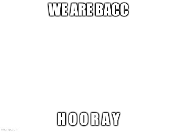 *happi pearlfan noises* | WE ARE BACC; H O O R A Y | image tagged in blank white template | made w/ Imgflip meme maker