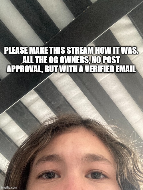 Please. | PLEASE MAKE THIS STREAM HOW IT WAS.
ALL THE OG OWNERS, NO POST APPROVAL, BUT WITH A VERIFIED EMAIL | made w/ Imgflip meme maker