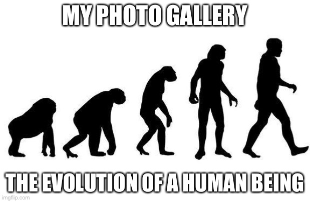 Photos tho | MY PHOTO GALLERY; THE EVOLUTION OF A HUMAN BEING | image tagged in human evolution | made w/ Imgflip meme maker