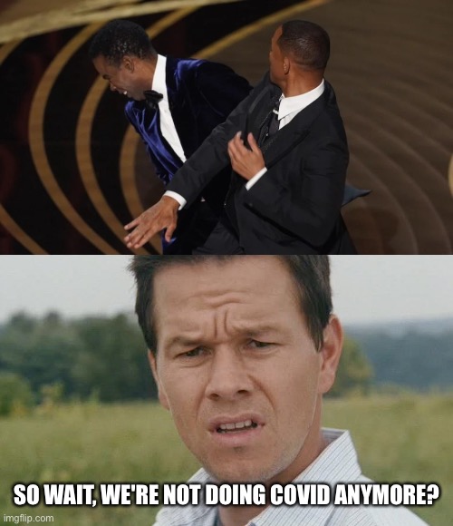 SO WAIT, WE'RE NOT DOING COVID ANYMORE? | image tagged in mark wahlberg confused,will smith punching chris rock,covid-19 | made w/ Imgflip meme maker