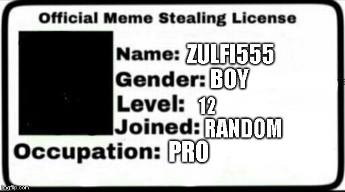 Meme Stealing License |  ZULFI555; BOY; 12; RANDOM; PRO | image tagged in meme stealing license | made w/ Imgflip meme maker