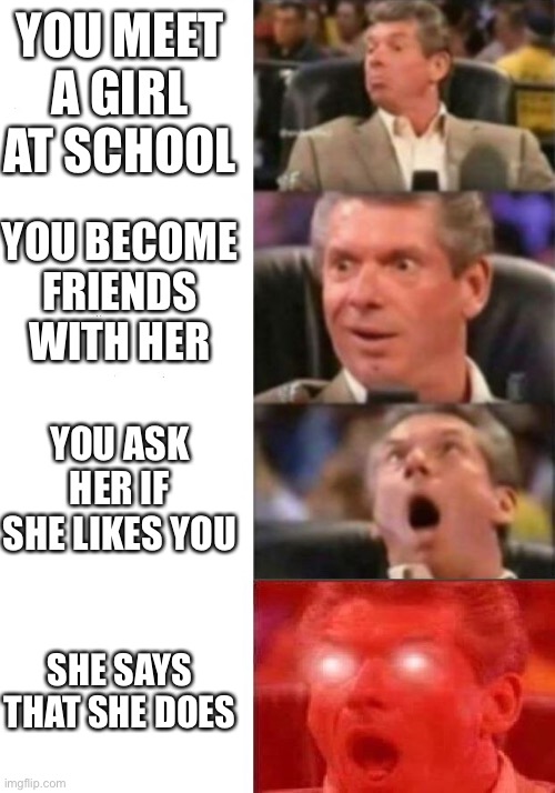 Mr. McMahon reaction | YOU MEET A GIRL AT SCHOOL; YOU BECOME FRIENDS WITH HER; YOU ASK HER IF SHE LIKES YOU; SHE SAYS THAT SHE DOES | image tagged in mr mcmahon reaction | made w/ Imgflip meme maker
