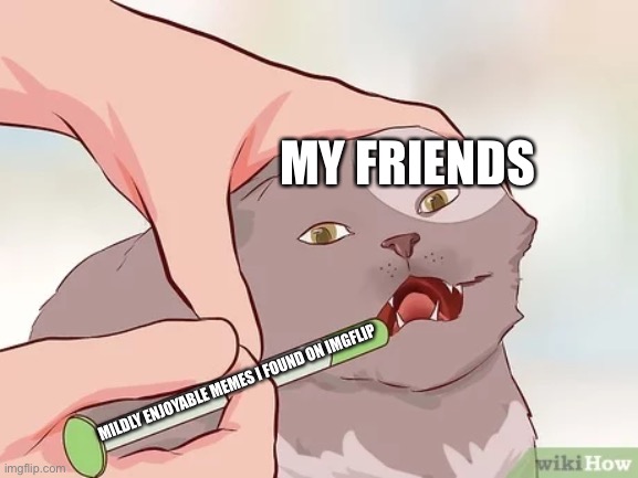 Why I have no friends | MY FRIENDS; MILDLY ENJOYABLE MEMES I FOUND ON IMGFLIP | image tagged in wikihow,cat | made w/ Imgflip meme maker