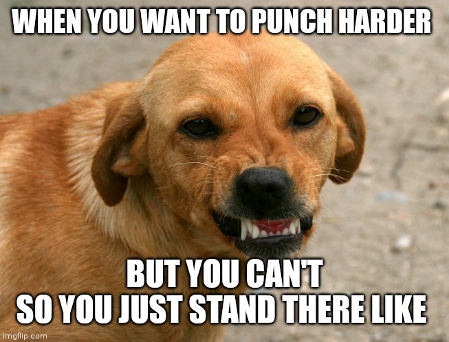 Muay Thai/Fighting things | WHEN YOU WANT TO PUNCH HARDER; BUT YOU CAN'T
SO YOU JUST STAND THERE LIKE | image tagged in angry dog,punch,fighting | made w/ Imgflip meme maker