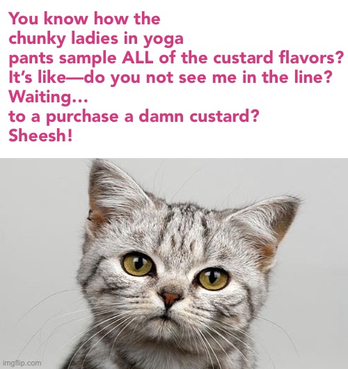 You seriously had to sample vanilla? Are you from outer space? | You know how the chunky ladies in yoga pants sample ALL of the custard flavors?
It’s like—do you not see me in the line? 
Waiting…
to a purchase a damn custard?
Sheesh! | image tagged in funny memes,funny cat memes,free samples,fat ladies | made w/ Imgflip meme maker
