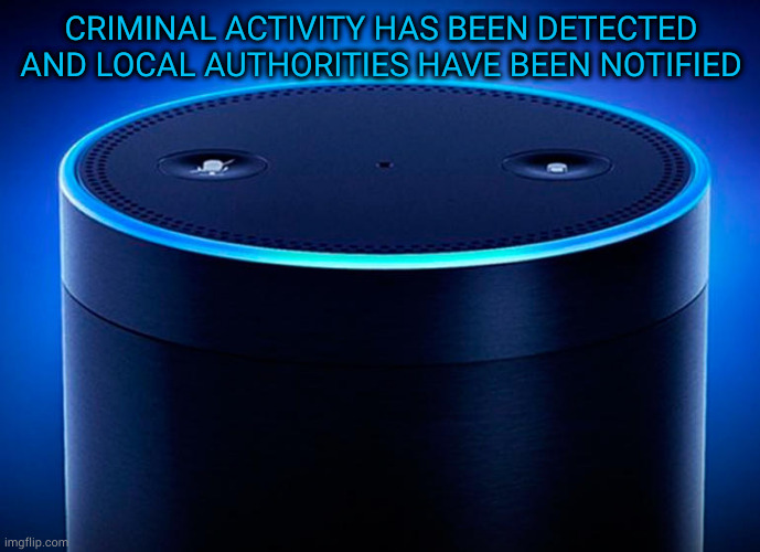 Echos | CRIMINAL ACTIVITY HAS BEEN DETECTED
AND LOCAL AUTHORITIES HAVE BEEN NOTIFIED | image tagged in alexa | made w/ Imgflip meme maker