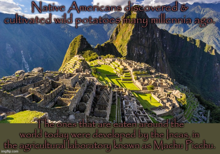 We discovered sweet potatoes too. | Native Americans discovered & cultivated wild potatoes many millennia ago. The ones that are eaten around the world today were developed by the Incas, in the agricultural laboratory known as Machu Picchu. | image tagged in machu picchu,history,food for thought,vegetable | made w/ Imgflip meme maker