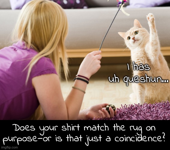 Aww. He’s raising his hand—what a good boy | I has uh queshun…; Does your shirt match the rug on purpose—or is that just a coincidence? | image tagged in funny memes,funny cat memes,what cats think about | made w/ Imgflip meme maker
