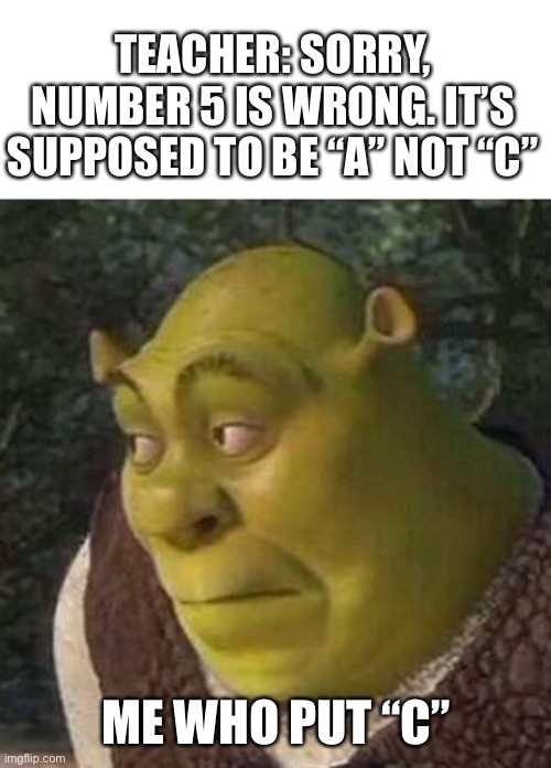 grading tests be like | TEACHER: SORRY, NUMBER 5 IS WRONG. IT’S SUPPOSED TO BE “A” NOT “C”; ME WHO PUT “C” | image tagged in shrek,school,musically oblivious 8th grader | made w/ Imgflip meme maker