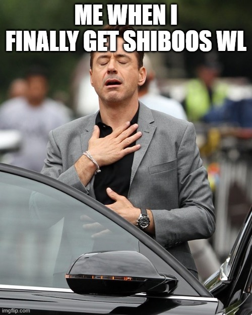 Relief |  ME WHEN I FINALLY GET SHIBOOS WL | image tagged in relief | made w/ Imgflip meme maker