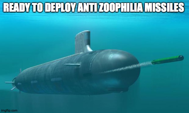 submarine | READY TO DEPLOY ANTI ZOOPHILIA MISSILES | image tagged in submarine | made w/ Imgflip meme maker