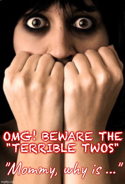 You've Been Warned ... | OMG! BEWARE THE
"TERRIBLE TWOS"; "Mommy, why is ..." | image tagged in terrified woman color 465x687,kids,rick75230 | made w/ Imgflip meme maker