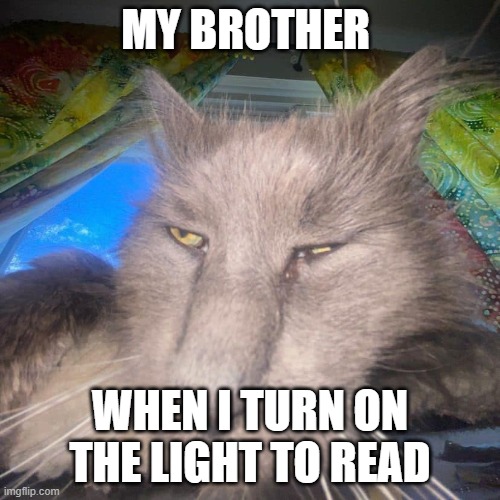 reading is good. brother is not | MY BROTHER; WHEN I TURN ON THE LIGHT TO READ | image tagged in uhuhuhuhuhuhu | made w/ Imgflip meme maker