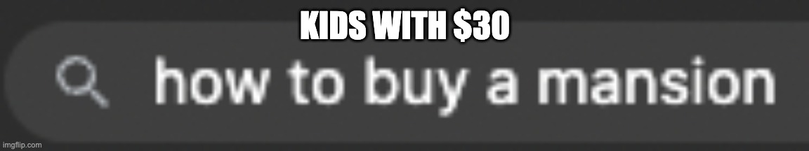 its true tho | KIDS WITH $30 | image tagged in how to buy a mansion,kids be like | made w/ Imgflip meme maker