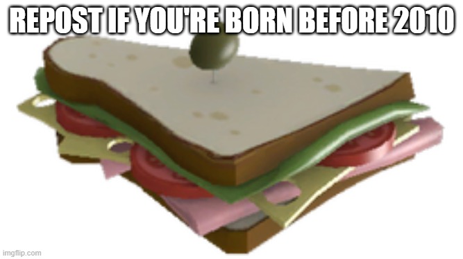 sandvich | REPOST IF YOU'RE BORN BEFORE 2010 | image tagged in sandvich | made w/ Imgflip meme maker