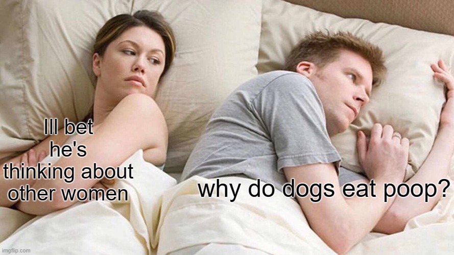 hummmmmm | Ill bet he's thinking about other women; why do dogs eat poop? | image tagged in memes,i bet he's thinking about other women | made w/ Imgflip meme maker