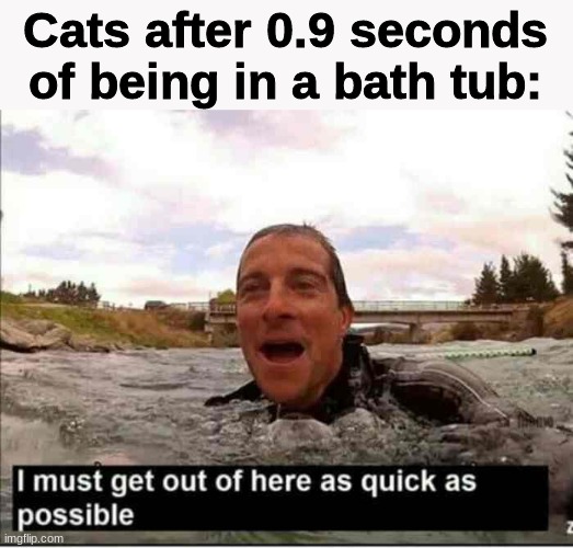 I must get out of here as quick as possible | Cats after 0.9 seconds of being in a bath tub: | image tagged in i must get out of here as quick as possible | made w/ Imgflip meme maker