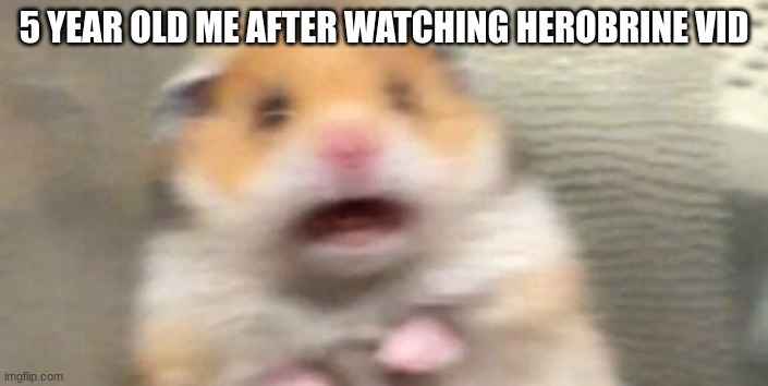Screaming Hampster |  5 YEAR OLD ME AFTER WATCHING HEROBRINE VID | image tagged in screaming hampster | made w/ Imgflip meme maker
