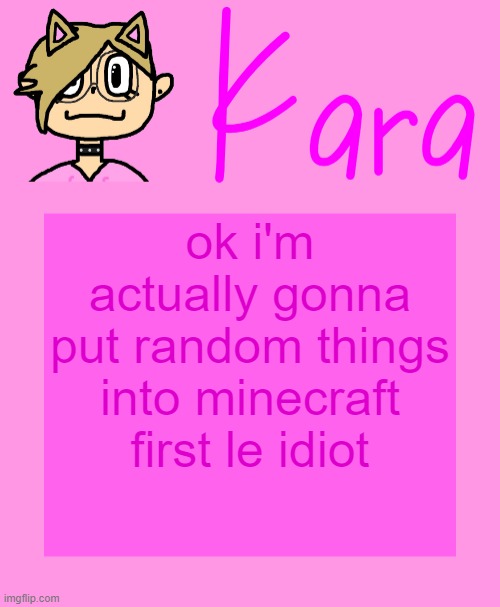 Kara temp | ok i'm actually gonna put random things into minecraft first le idiot | image tagged in kara temp | made w/ Imgflip meme maker