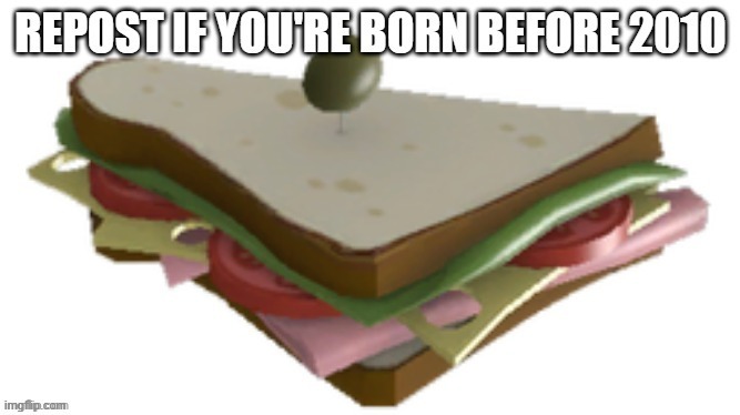 i was born in 2009. | image tagged in sandwich | made w/ Imgflip meme maker