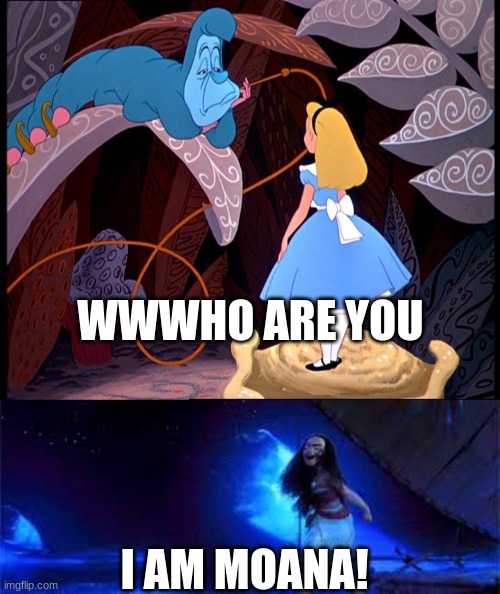 What next. I think I'm mainly going to stick to Disney | WWWHO ARE YOU; I AM MOANA! | image tagged in alice in wonderland - caterpillar,moana,who are you | made w/ Imgflip meme maker